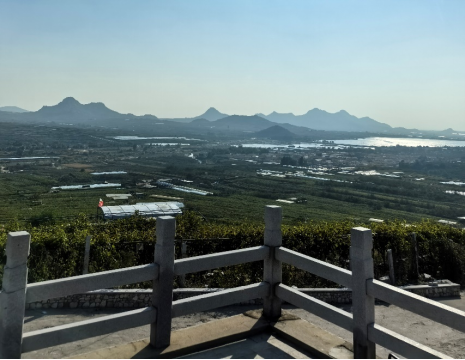 平度大澤山葡萄園引進(jìn)萊恩德土壤肥料檢測(cè)儀， 輕松掌握土壤營(yíng)養(yǎng)